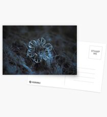 The core, snowflake macro photo Postcards
