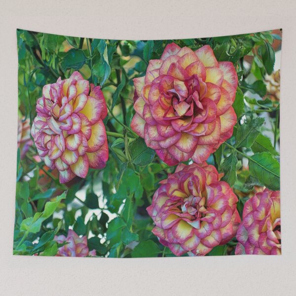 Item preview, Flower, rose, rosebush. designed and sold by City1221.