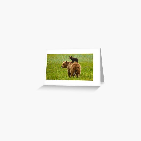 Item preview,  panoramic,panoramic wall art, panoramic canvas prints widescreen prints, wall posters, Tapestries,animals,Grizzly Bear wall art,Grizzly Bear artwork,Grizzly Bears,wild,Grizzly Bear art designed and sold by eyesight4vision.