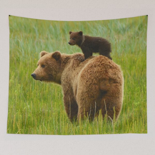 Item preview,  panoramic,panoramic wall art, panoramic canvas prints widescreen prints, wall posters, Tapestries,animals,Grizzly Bear wall art,Grizzly Bear artwork,Grizzly Bears,wild,Grizzly Bear art designed and sold by eyesight4vision.