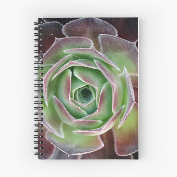 Item preview, Unfolding designed and sold by Tiffany Dryburgh.