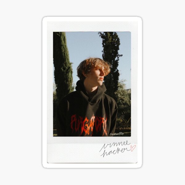 Vinnie Hacker Polaroid polar Sticker