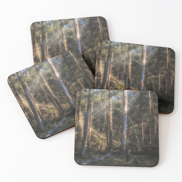 Item preview, Sunlight in the dark forest 1 designed and sold by HowardRoberts.