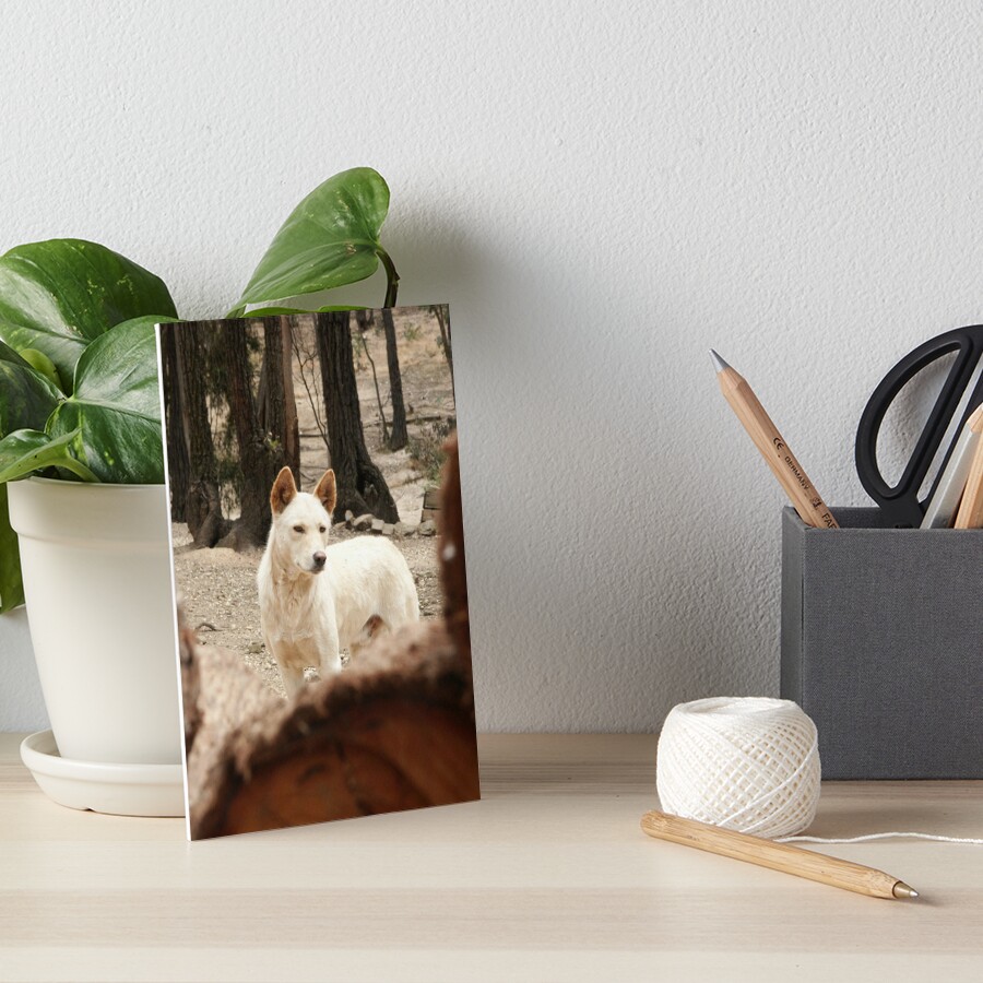 Item preview, Art Board Print designed and sold by Tiffany.