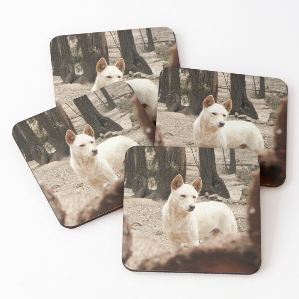 Item preview, Bruce's Dingo designed and sold by Tiffany Dryburgh.