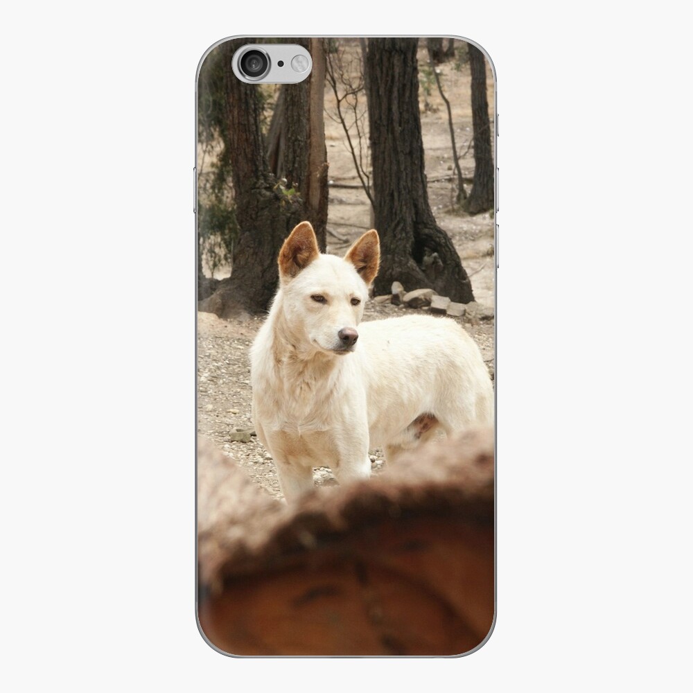 Item preview, iPhone Skin designed and sold by Tiffany.