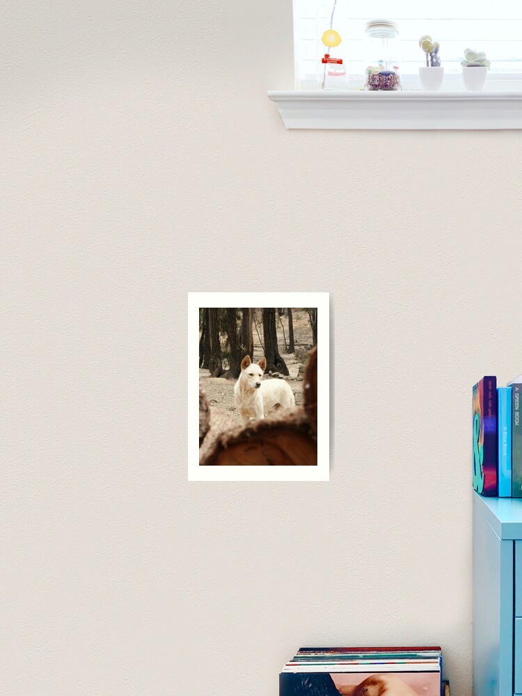 Thumbnail 1 of 3, Art Print, Bruce's Dingo designed and sold by Tiffany Dryburgh.
