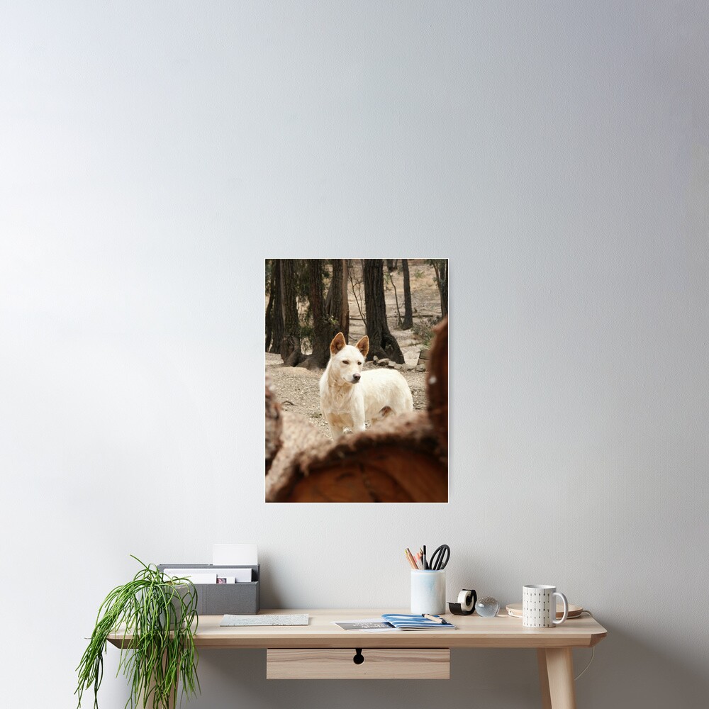 Item preview, Poster designed and sold by Tiffany.