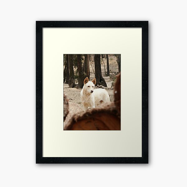 Framed Art Print
