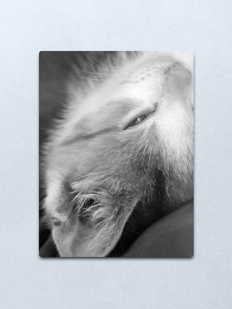 Alternate view of Cheeky Metal Print