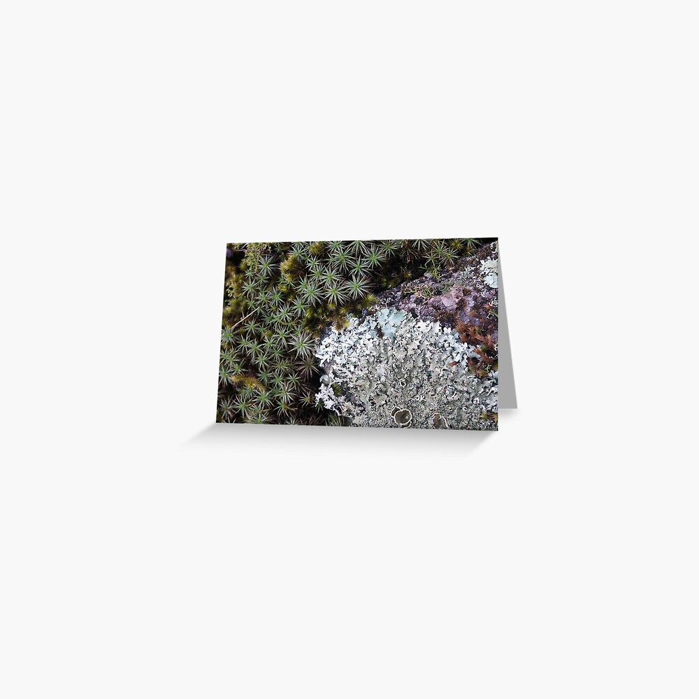 Item preview, Greeting Card designed and sold by Tiffany.