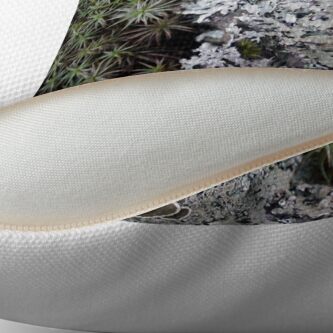 Alternate view of Lichen & Moss Throw Pillow