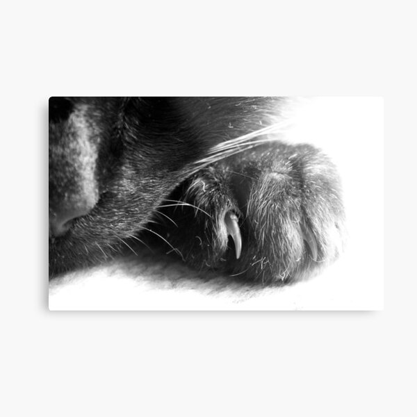 Metal Print