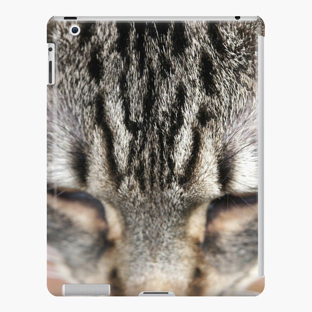 Item preview, iPad Snap Case designed and sold by Tiffany.
