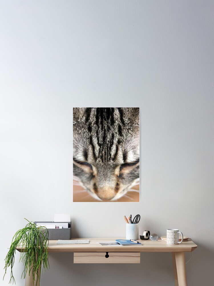 Thumbnail 1 of 3, Poster, M designed and sold by Tiffany Dryburgh.