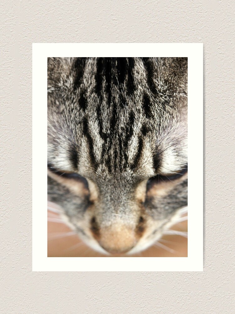 Alternate view of M Art Print
