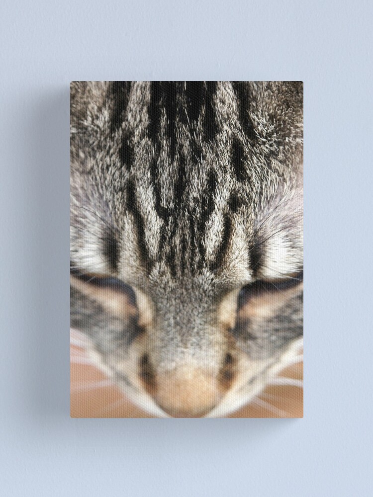 Alternate view of M Canvas Print