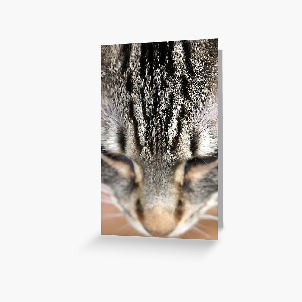 Item preview, Greeting Card designed and sold by Tiffany.