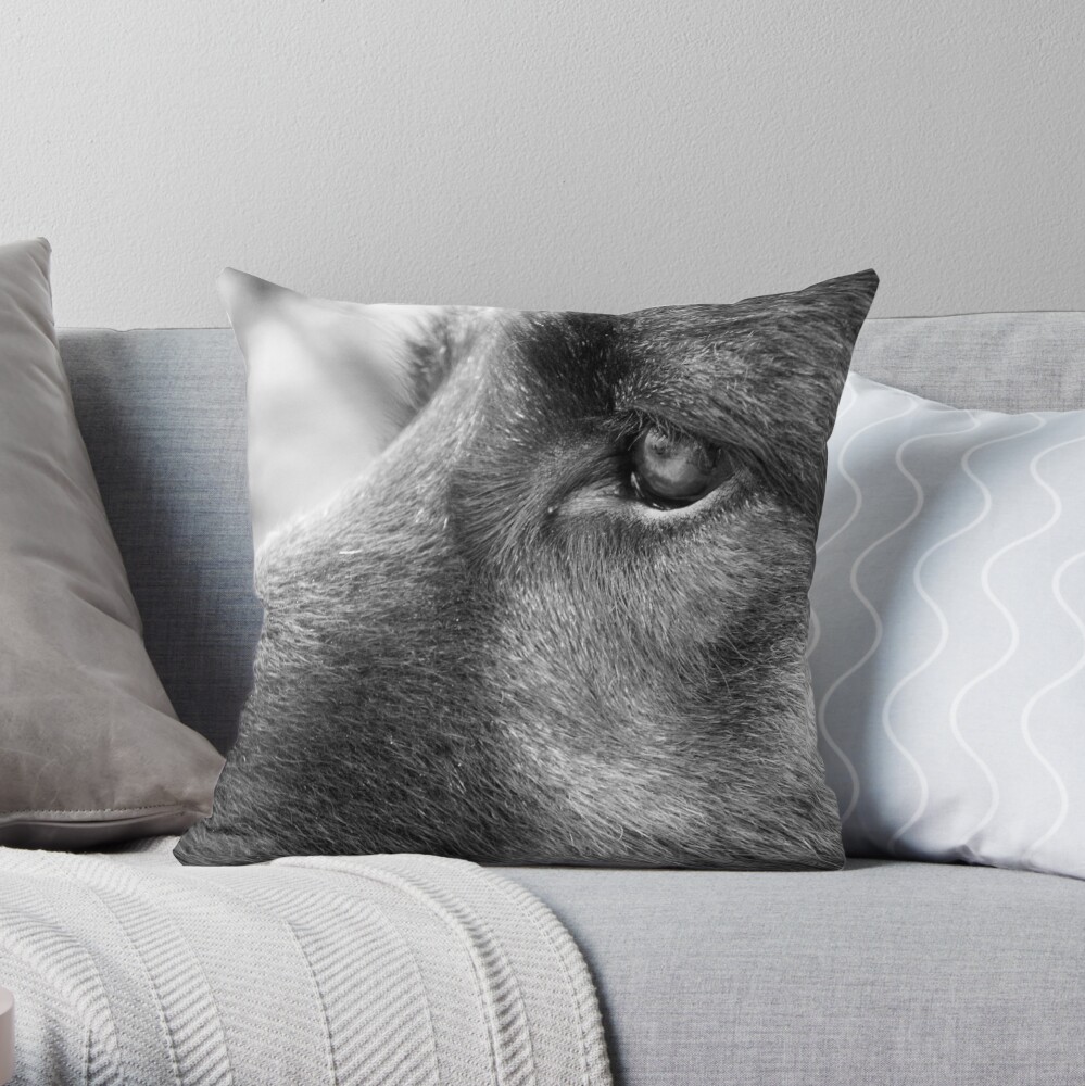 Item preview, Throw Pillow designed and sold by Tiffany.