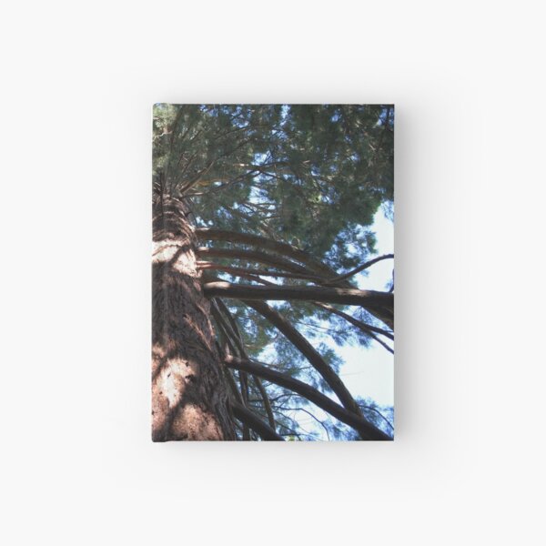 Crooked Spire Hardcover Journal