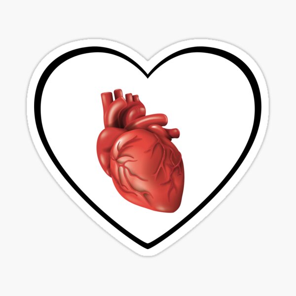 Sticker Echtes Herz Redbubble