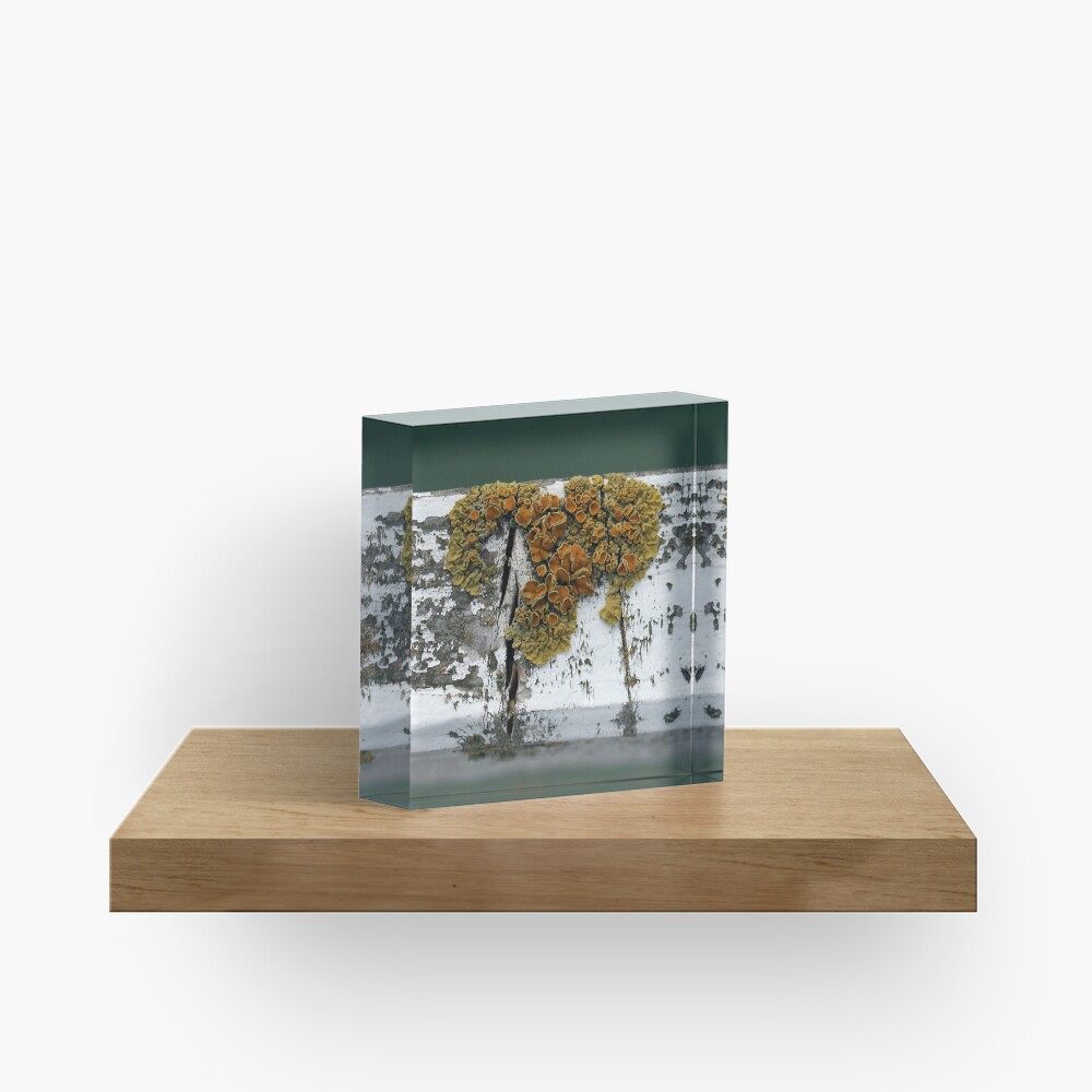 Item preview, Acrylic Block designed and sold by Tiffany.