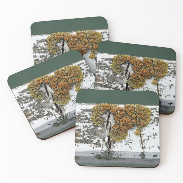 Item preview, Lichen designed and sold by Tiffany Dryburgh.