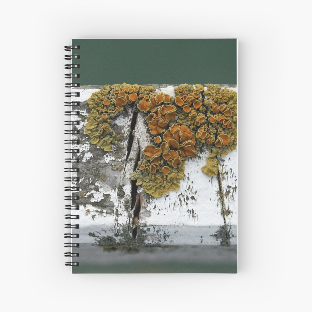 Item preview, Spiral Notebook designed and sold by Tiffany.