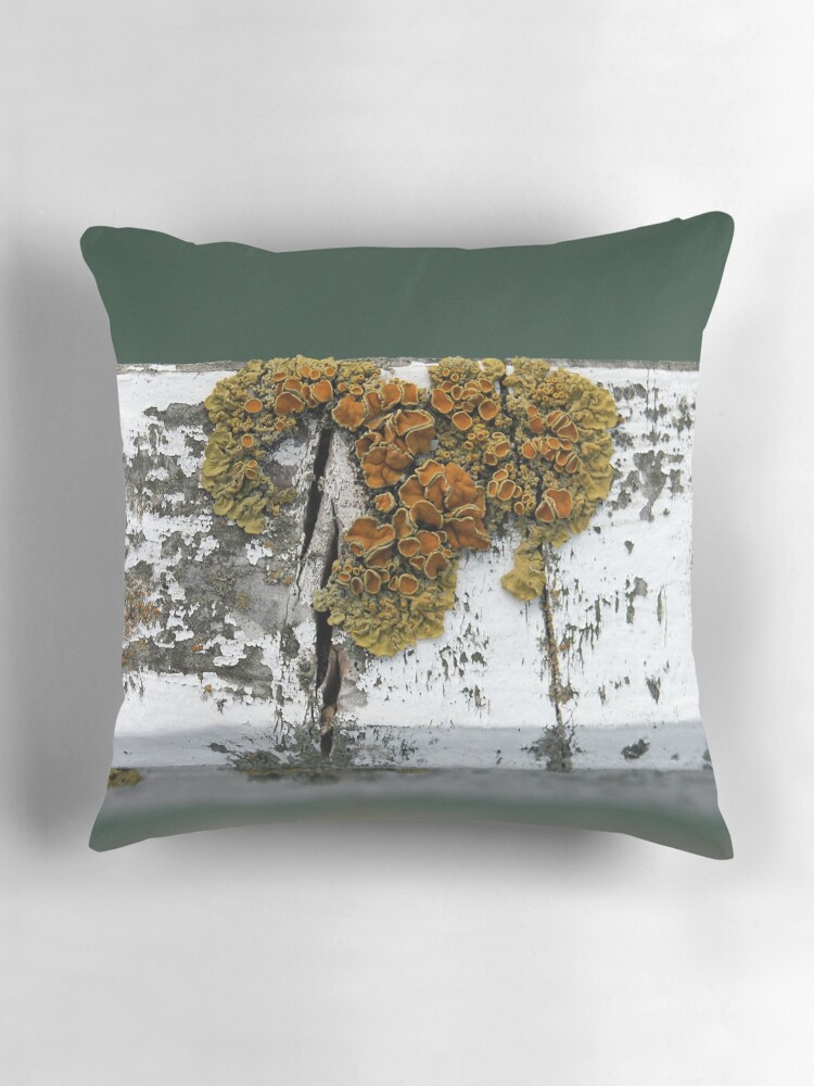 Thumbnail 3 of 4, Pillow, Lichen designed and sold by Tiffany.