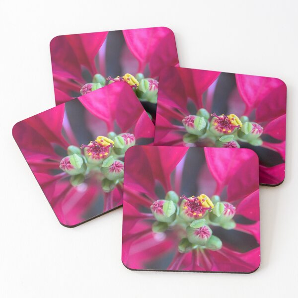 Item preview, Poinsettia Plant Flower Buds designed and sold by Sinemathk.