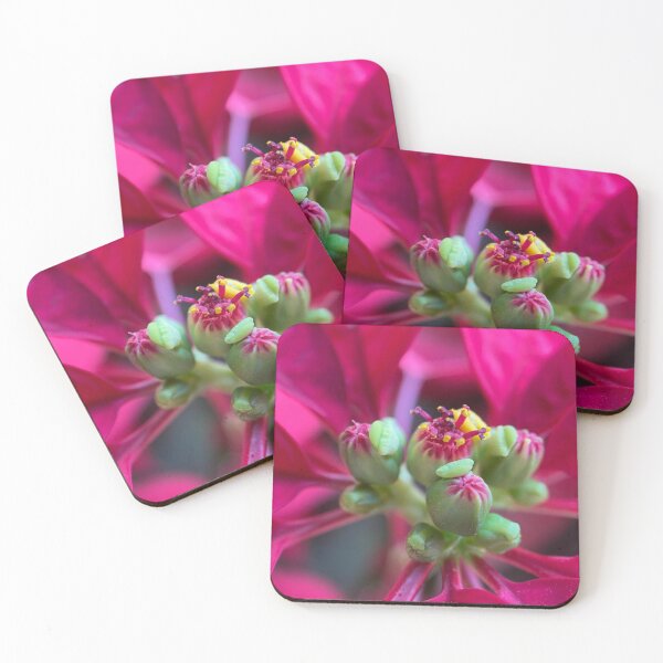 Item preview, Poinsettia Plant Flower Buds designed and sold by Sinemathk.