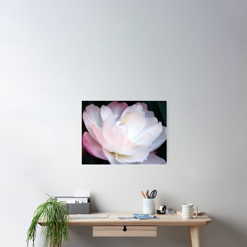 Item preview, Poster designed and sold by Tiffany.