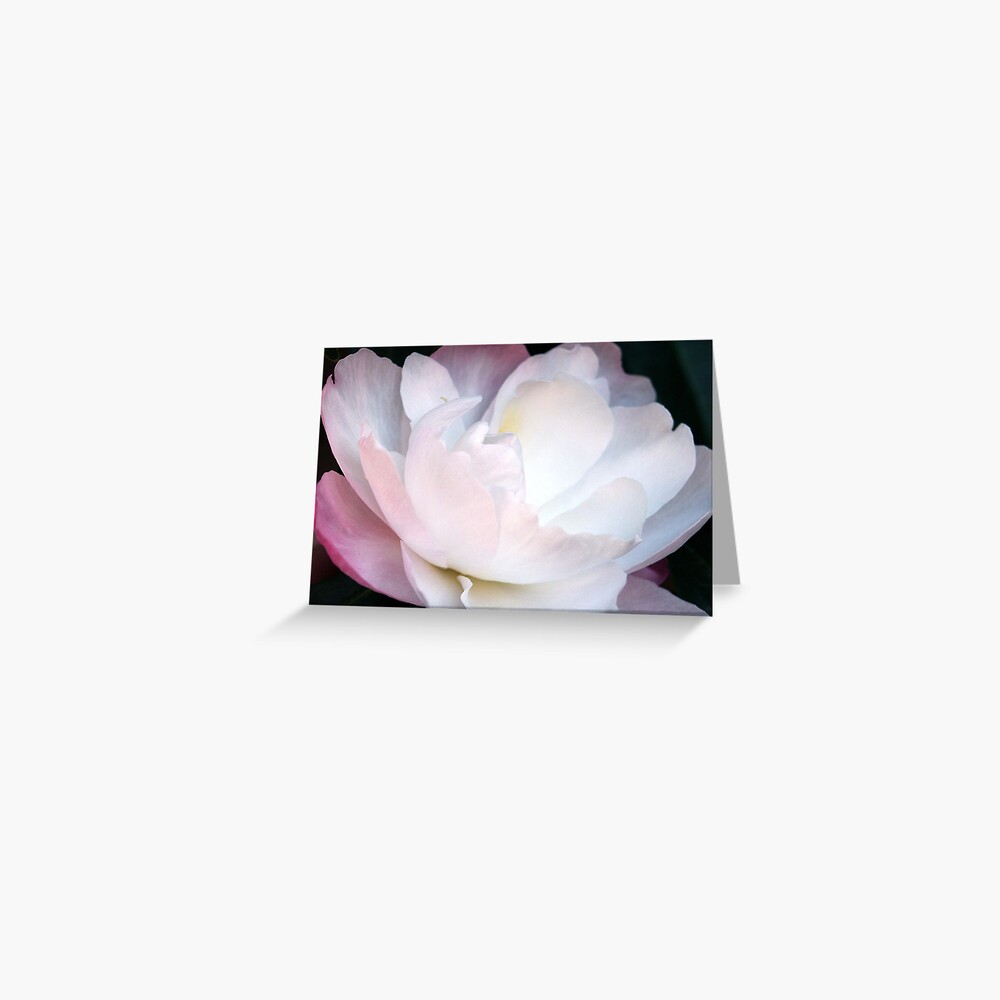 Item preview, Greeting Card designed and sold by Tiffany.