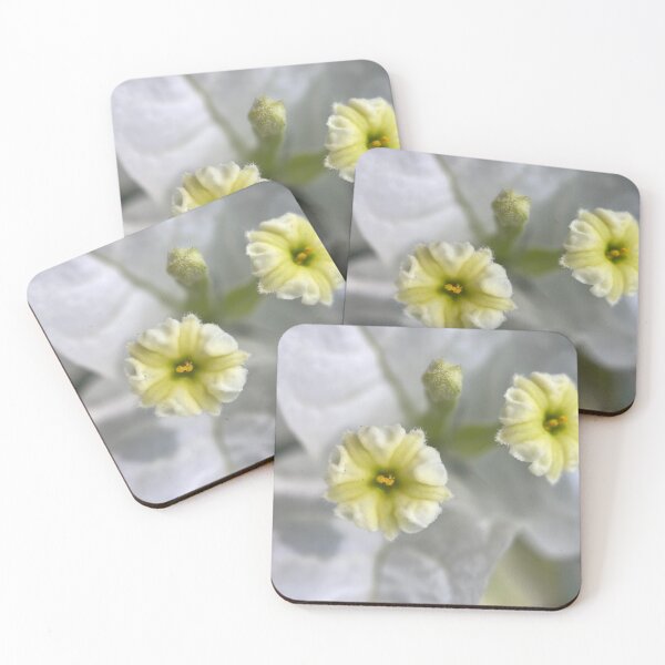 Item preview, White Bougainvillea Flowers designed and sold by Sinemathk.