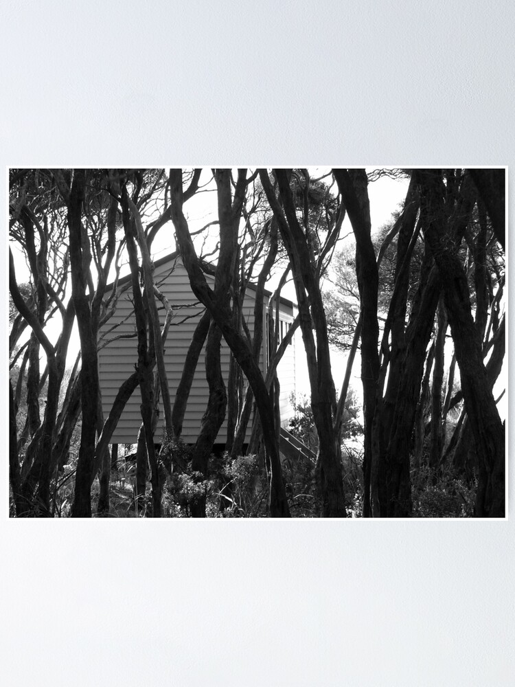Thumbnail 2 of 3, Poster, Bathing Box designed and sold by Tiffany Dryburgh.
