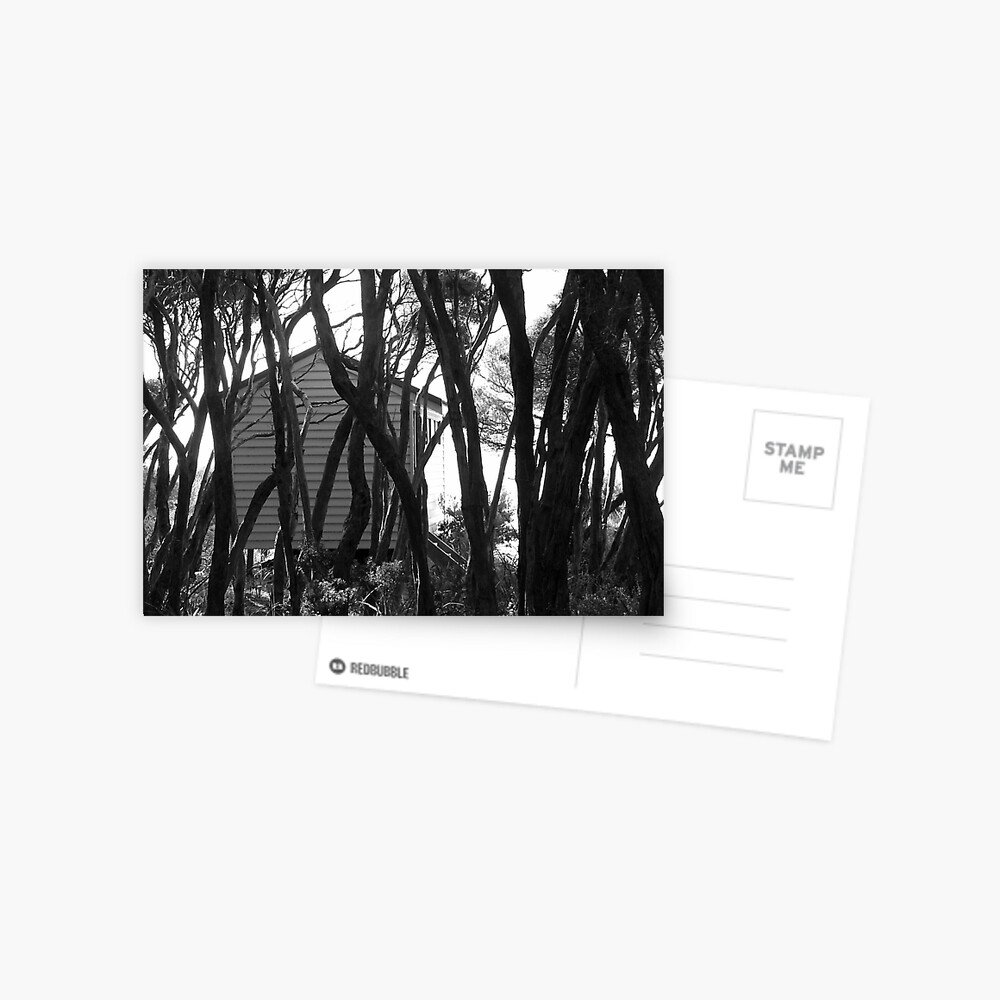 Item preview, Postcard designed and sold by Tiffany.