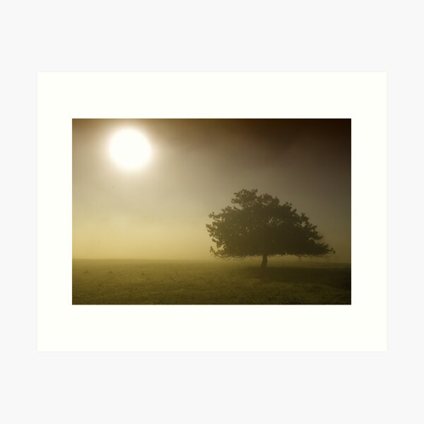 Aperçu de l'œuvre Fog créée et vendue par dgugeri.