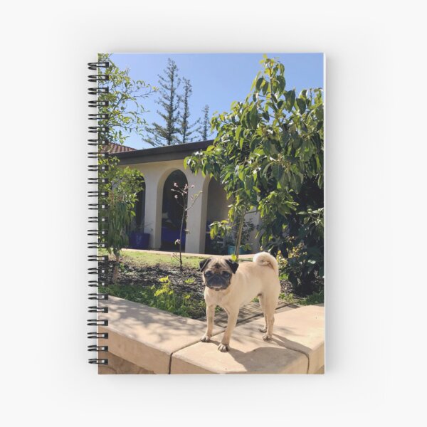 Daisy Pug: Puppy Dog Standing In Spring Garden – Spiral Notebook