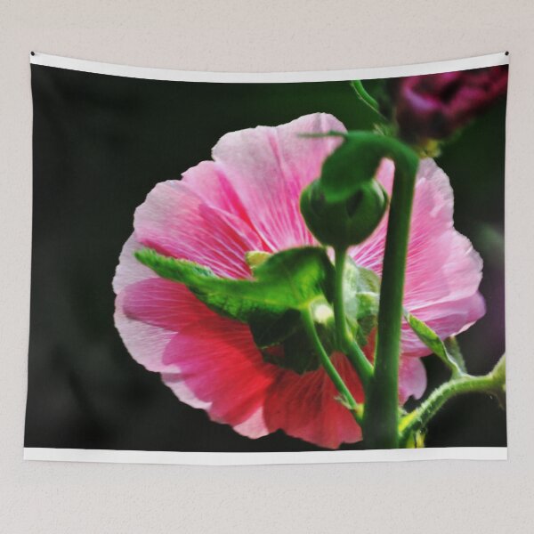 Item preview, Back Stage designed and sold by michaelasamples.