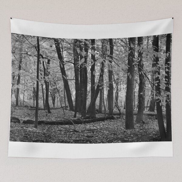Item preview, The Forest BW designed and sold by passingpixels.