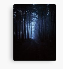 Dark forest Canvas Print