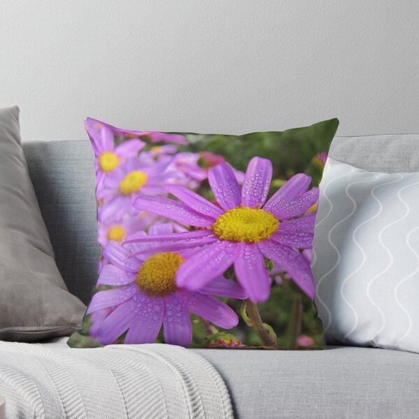 Item preview, Senecio elegans - pink beauties designed and sold by BiodiversityRocks.