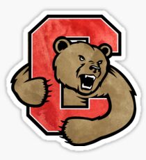 Cornell University Sticker
