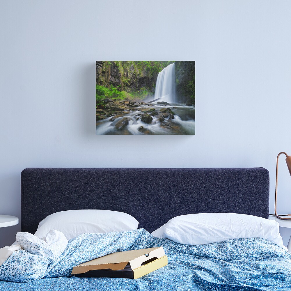 Hopetoun Falls, Otways, Great Ocean Road, Victoria, Australia Canvas Print