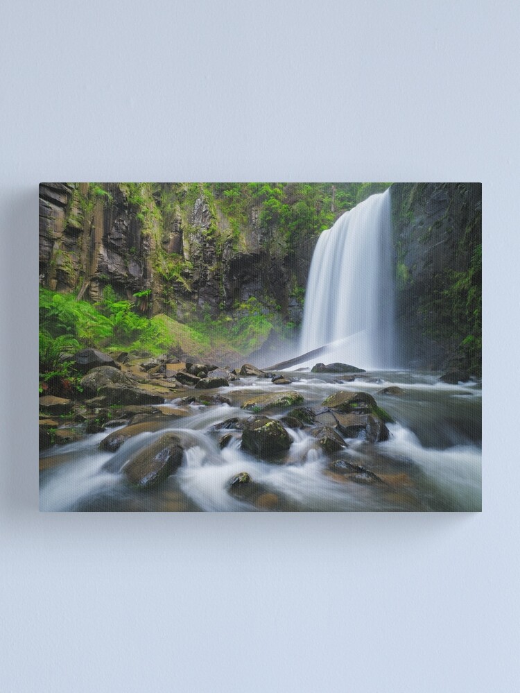 Alternate view of Hopetoun Falls, Otways, Great Ocean Road, Victoria, Australia Canvas Print