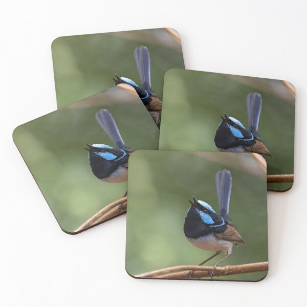 Item preview, Superb Fairy-Wren Singing designed and sold by theleastone.