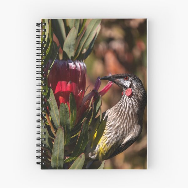 Item preview, Red Wattlebird with a protea flower designed and sold by theleastone.
