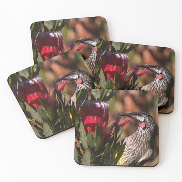 Item preview, Red Wattlebird with a protea flower designed and sold by theleastone.