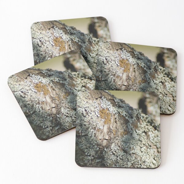 Item preview, Tree bark closeup  designed and sold by Nadia Arsky.