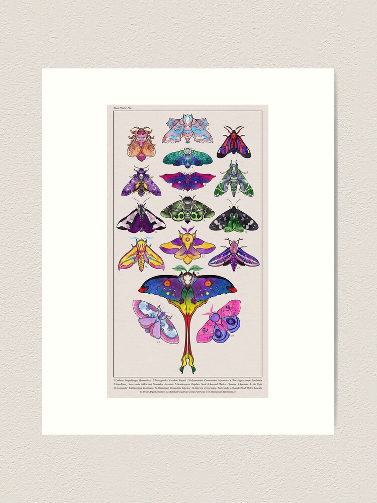 Alternate view of Pride Moths: Full Art Print